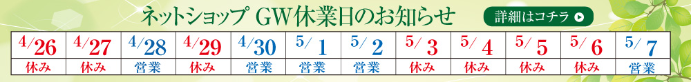 GW休み