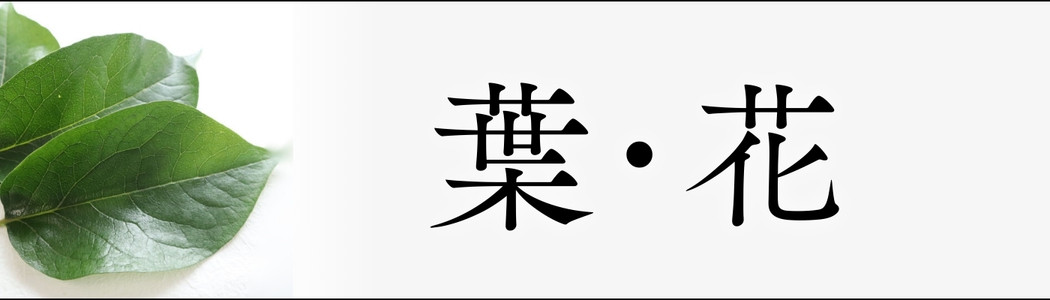 葉・花