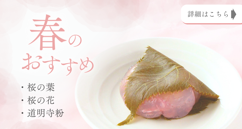 春のおすすめ