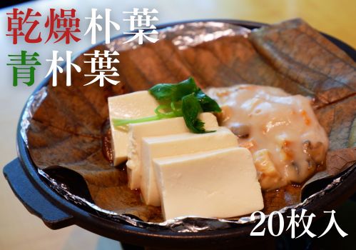 TOP小さめバナー乾燥朴葉青朴葉