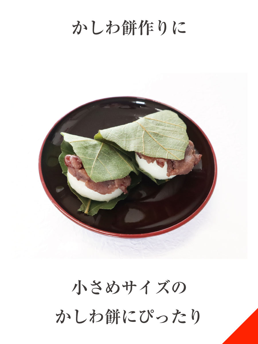 柏餅体験