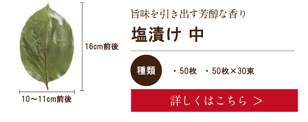 柿の葉(中)　詳しくは