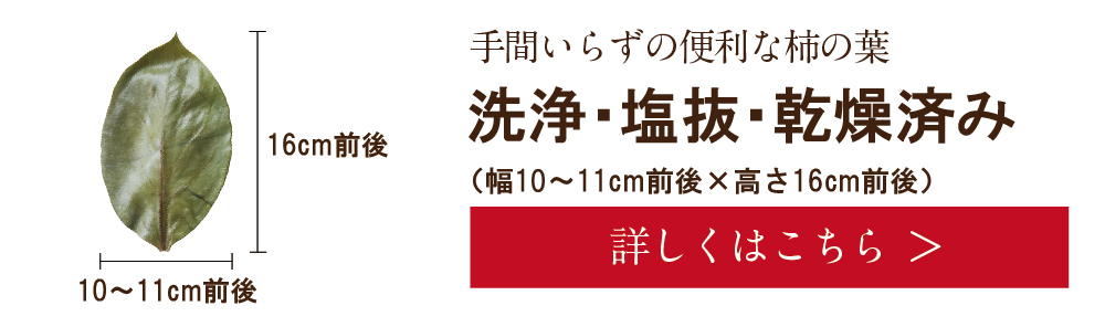 柿の葉(一枚)　詳しくは