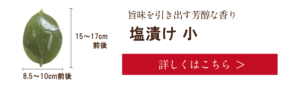 柿の葉(小)　詳しくは