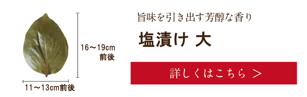 柿の葉(大)　詳しくは