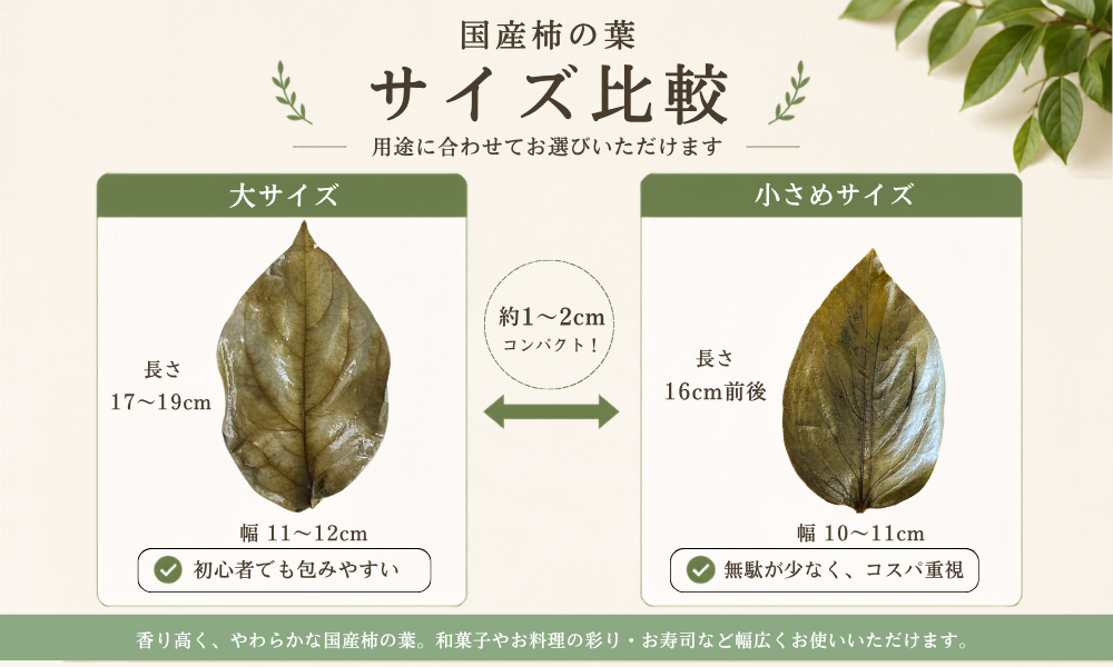 柿の葉塩漬けサイズ　イメージ