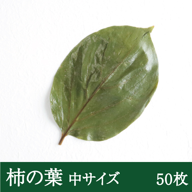 柿の葉 [塩漬け 50枚]