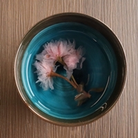 桜の花 和食と和菓子の材料処 天極堂プロ 本店