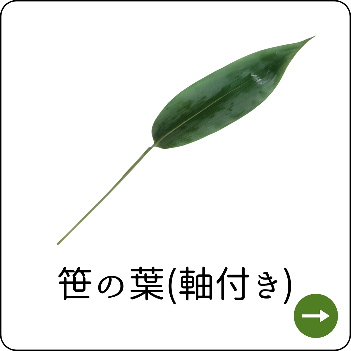 笹の葉じくつき