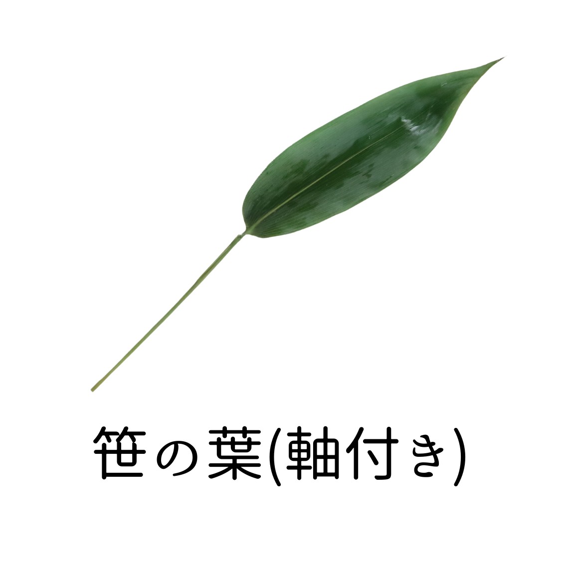 笹の葉じくつき