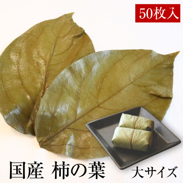 国産柿の葉50枚大サイズ