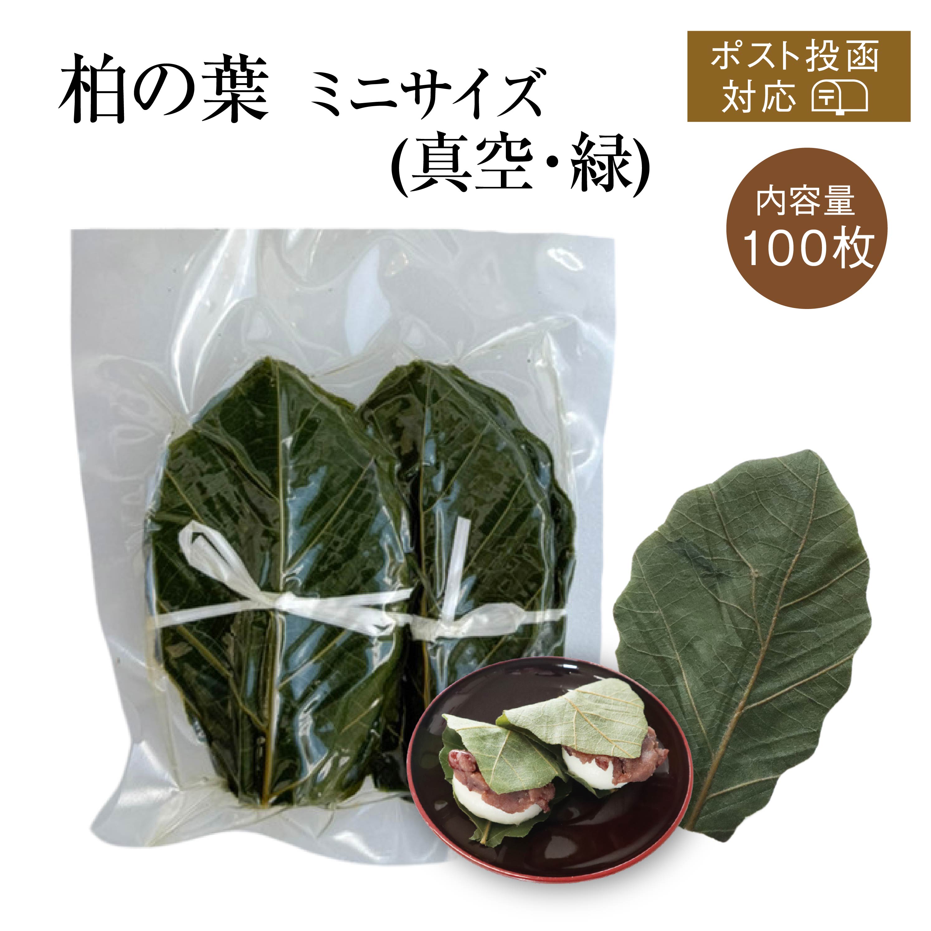 柏の葉（真空・緑） [ミニ 100枚]