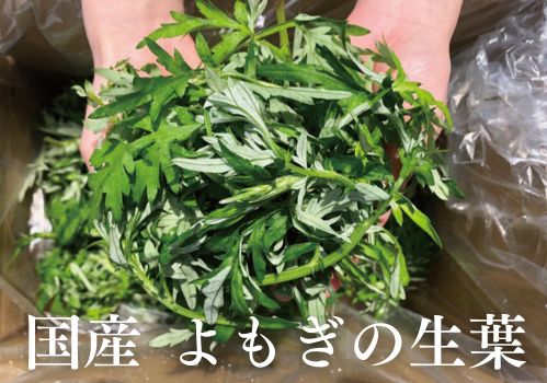 国産よもぎの生葉バナー