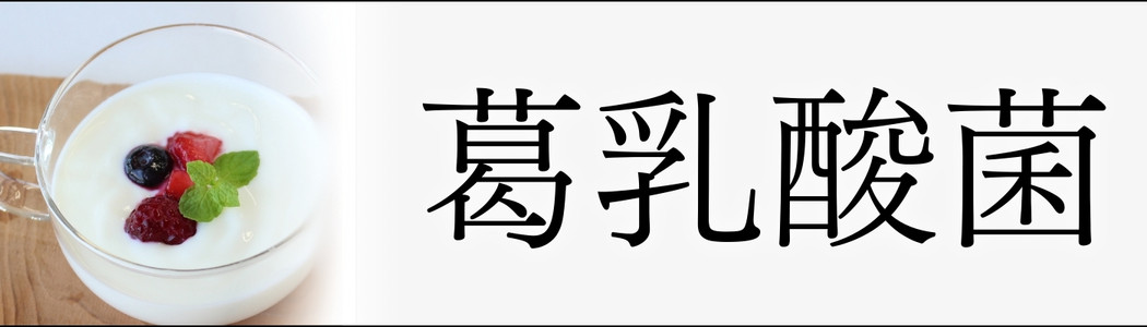乳酸菌