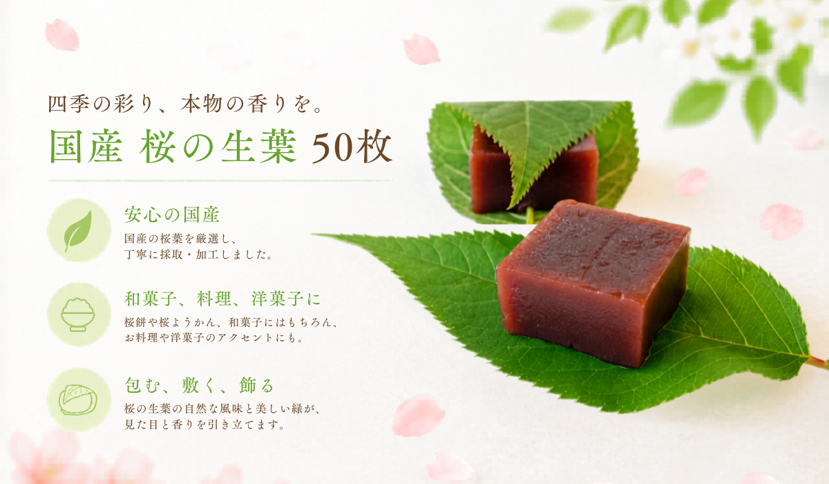 国産 桜の生葉