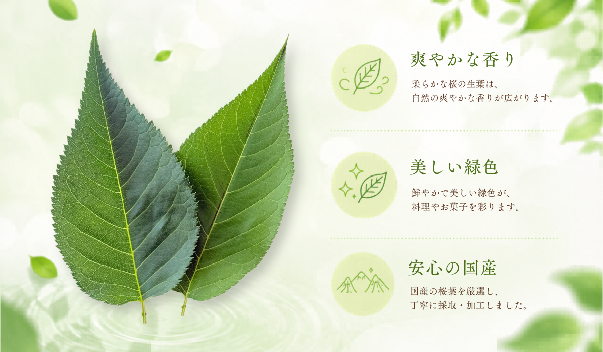 桜の生葉の特徴