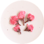 桜の花(一輪)　表