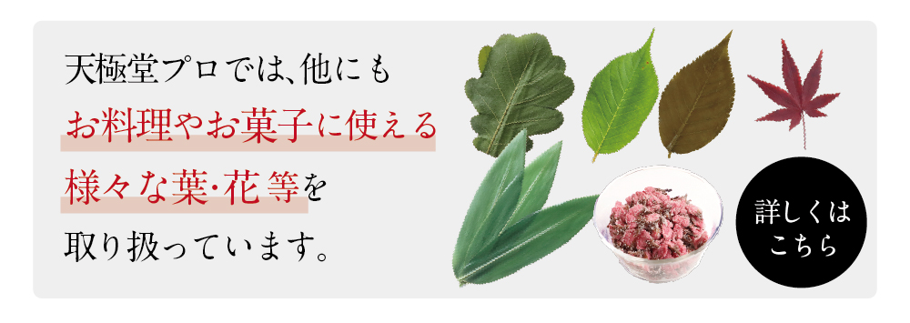 柿の葉 塩漬け 50枚 和食と和菓子の材料処 天極堂プロ 本店