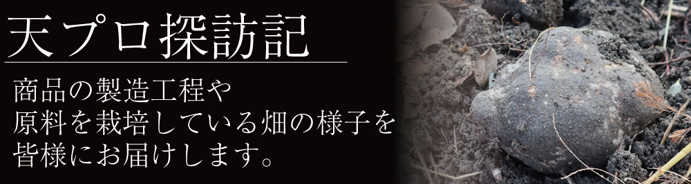 天プロ探訪記　バナー