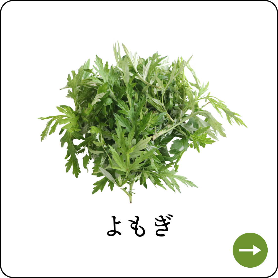 よもぎ