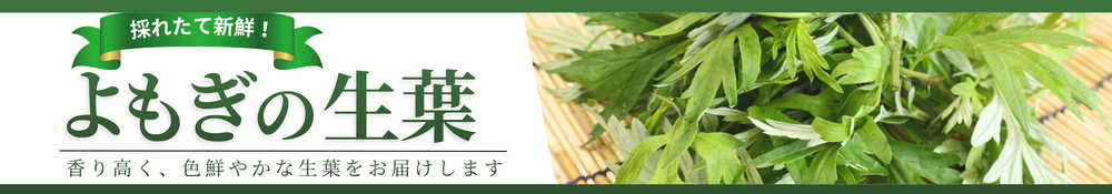 よもぎの生葉2026バナー