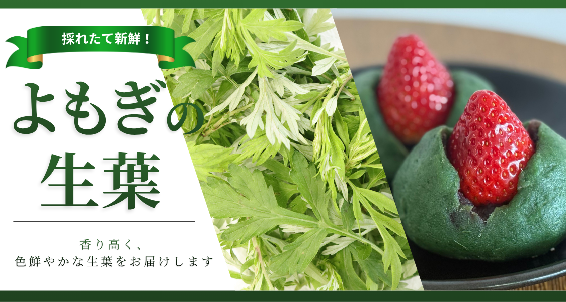 よもぎの生葉バナー2026.5