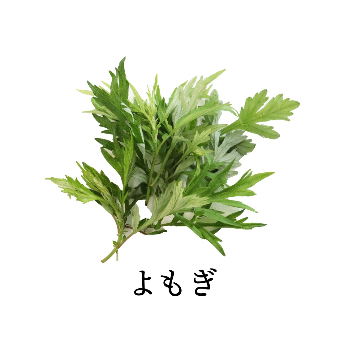よもぎ
